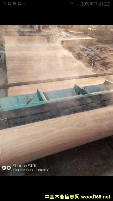 座椅的詳細介紹