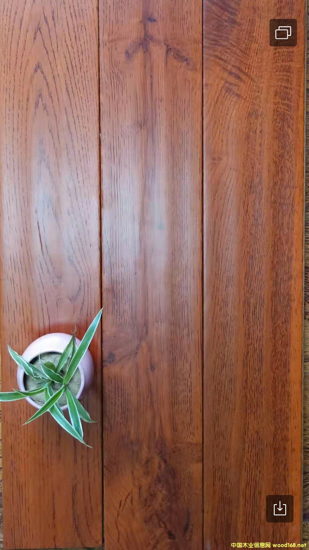 ��(sh��)ľ�ذ�