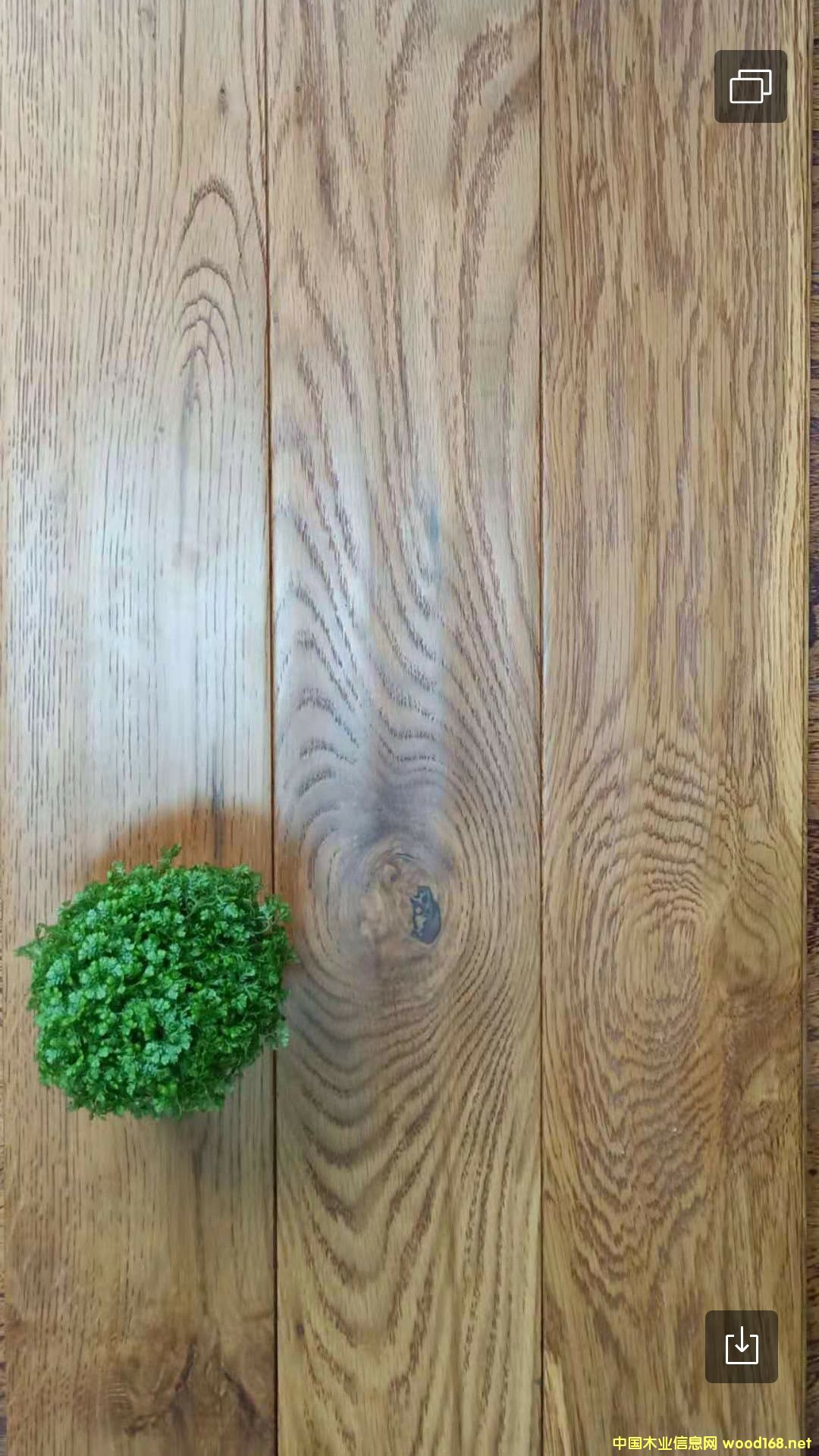 ��(sh��)ľ�ذ�