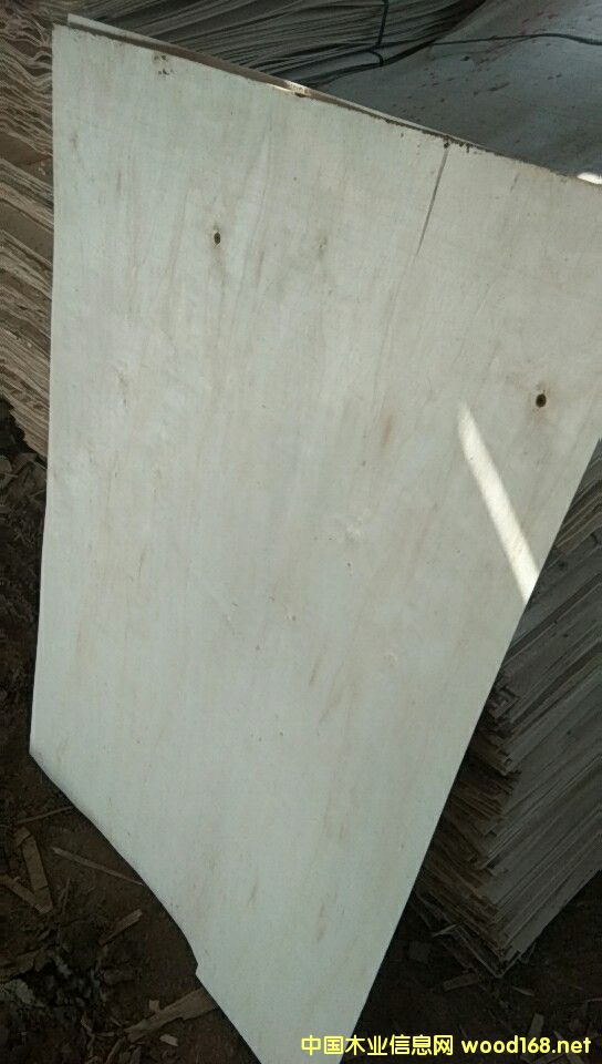  ���Kʡ�������S�h�Z��ľ�I(y��)���L�ڹ�����ľƤ��