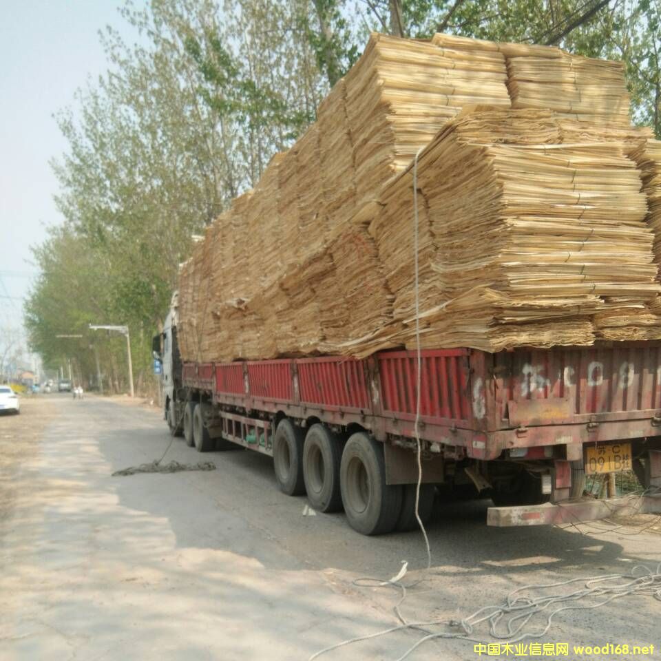 ��ĵ�Ԕ��(x��)��B