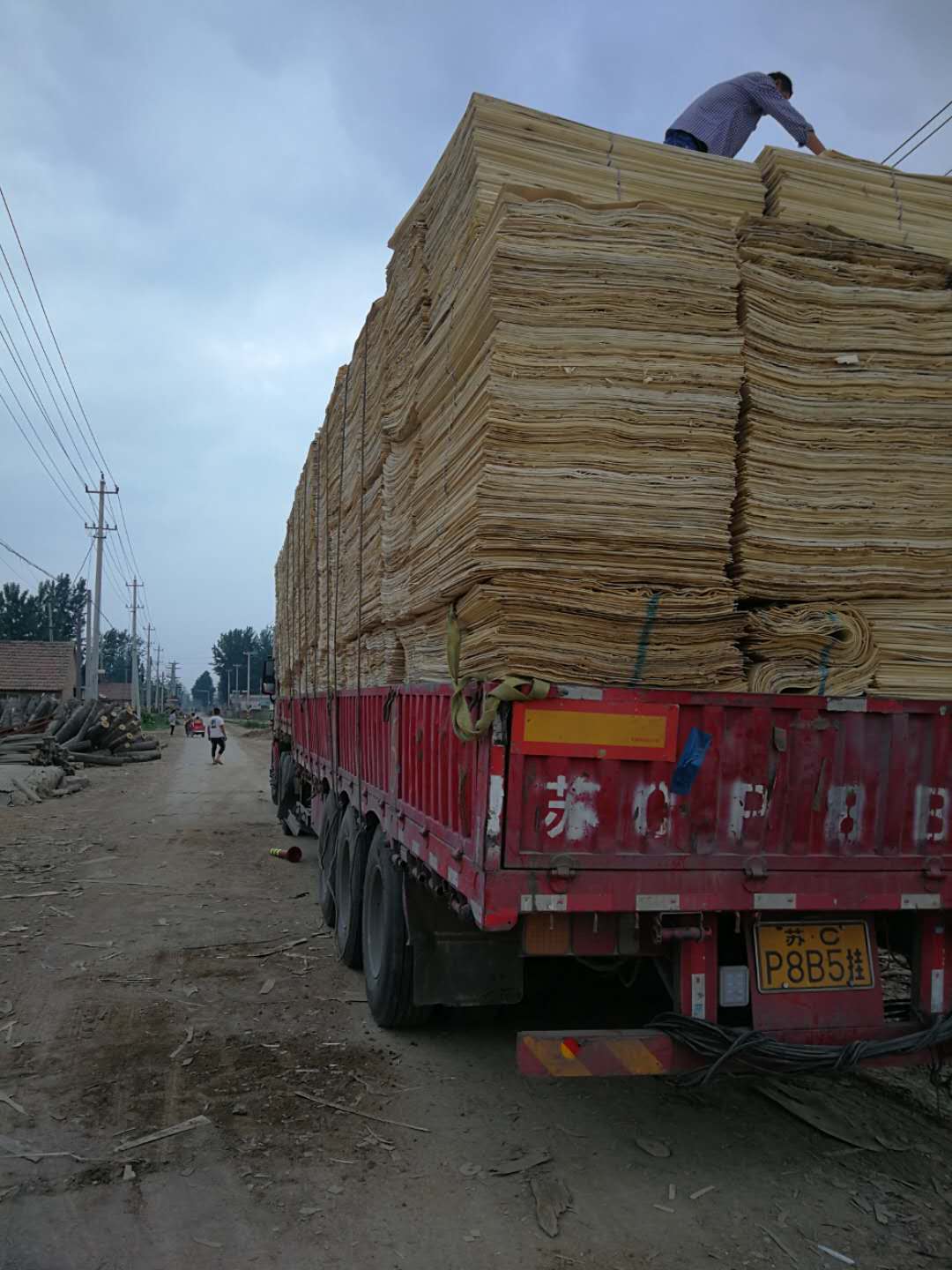 ��ľƤ�ӵ�Ԕ��(x��)��B