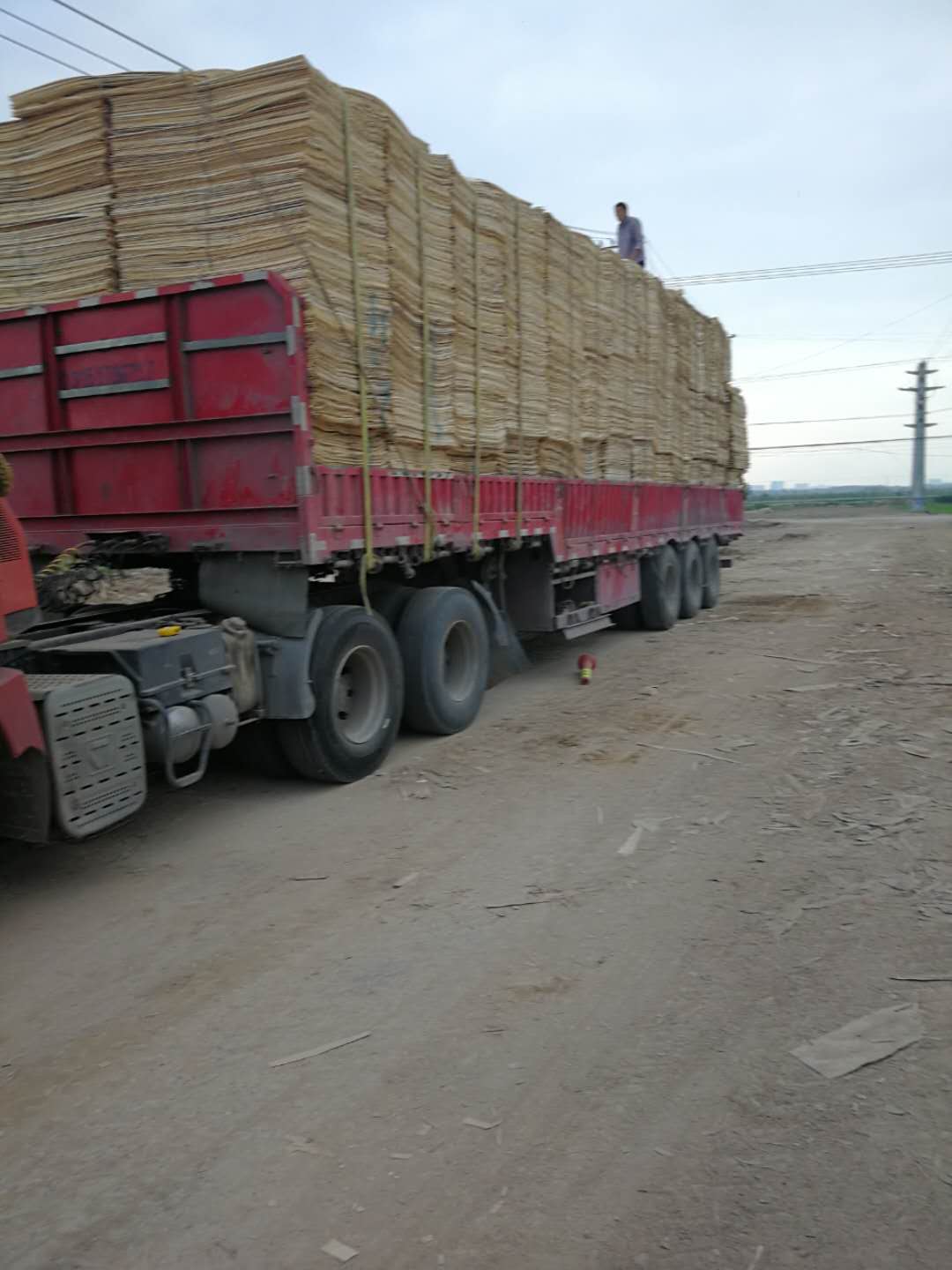 ��ľƤ�ӵ�Ԕ��(x��)��B