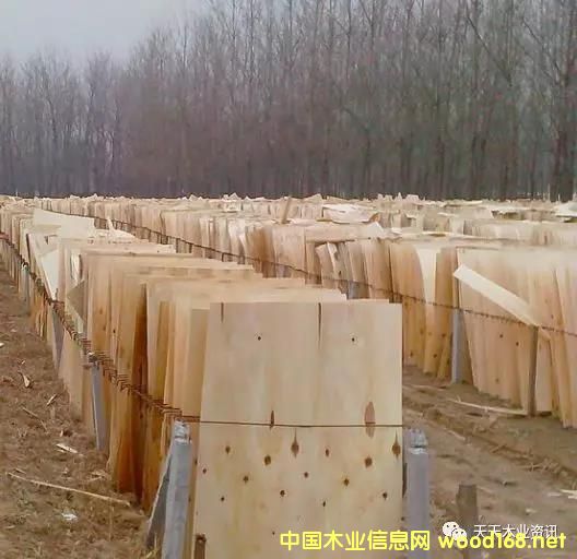 ��ľƤ�ӵ�Ԕ��(x��)��B