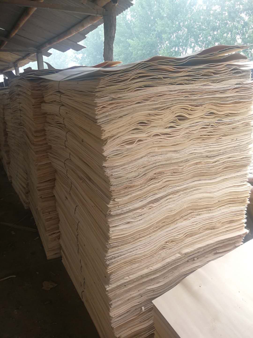 的詳細(xì)介紹