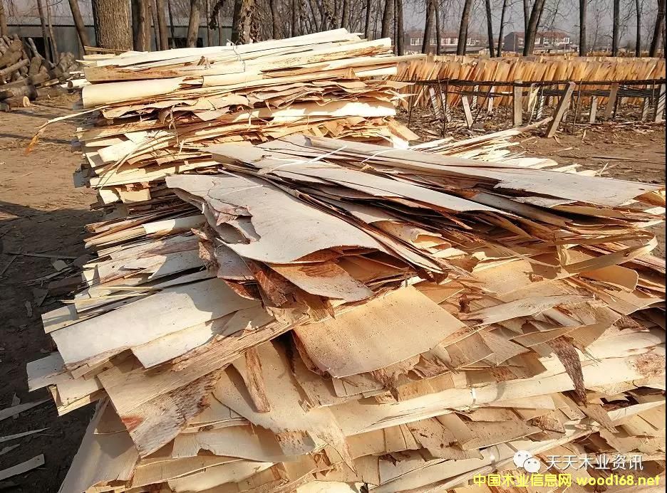 ��ľƤ�ӵ�Ԕ��(x��)��B