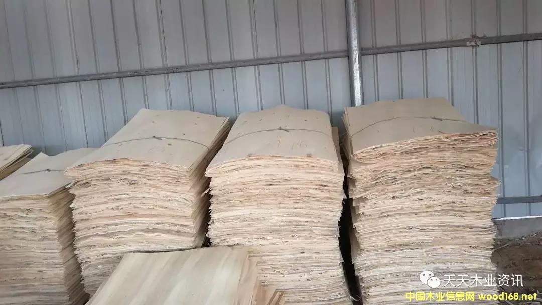 ��ľƤ�ӵ�Ԕ��(x��)��B