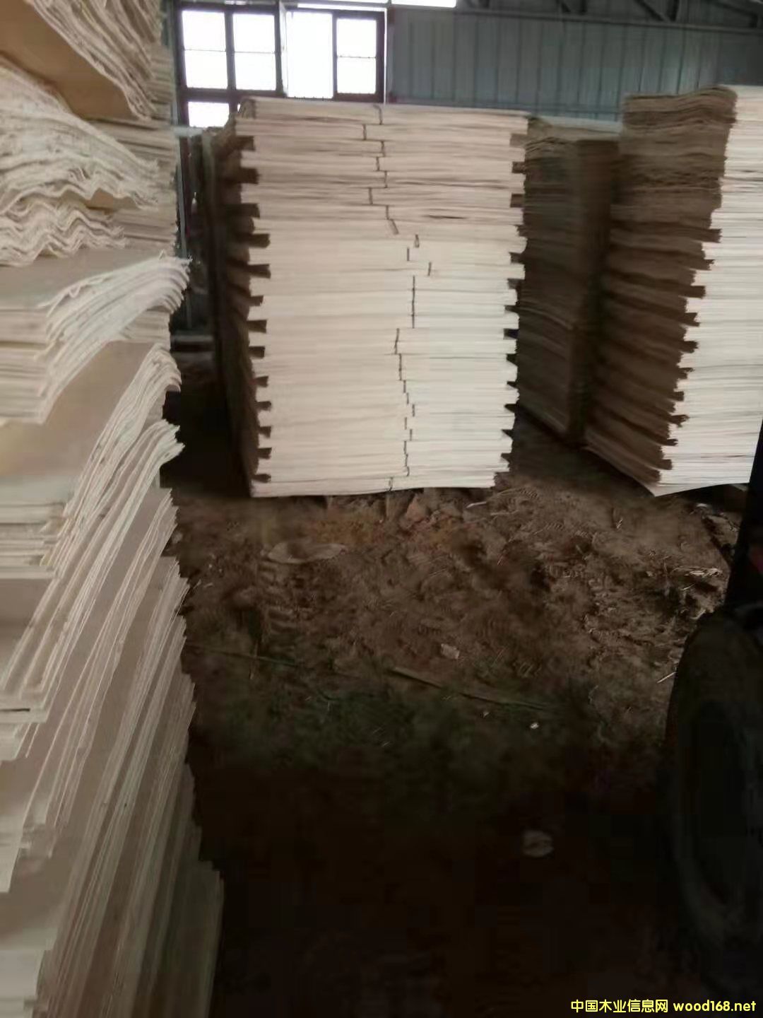 ��ľƤ��Ԕ����B