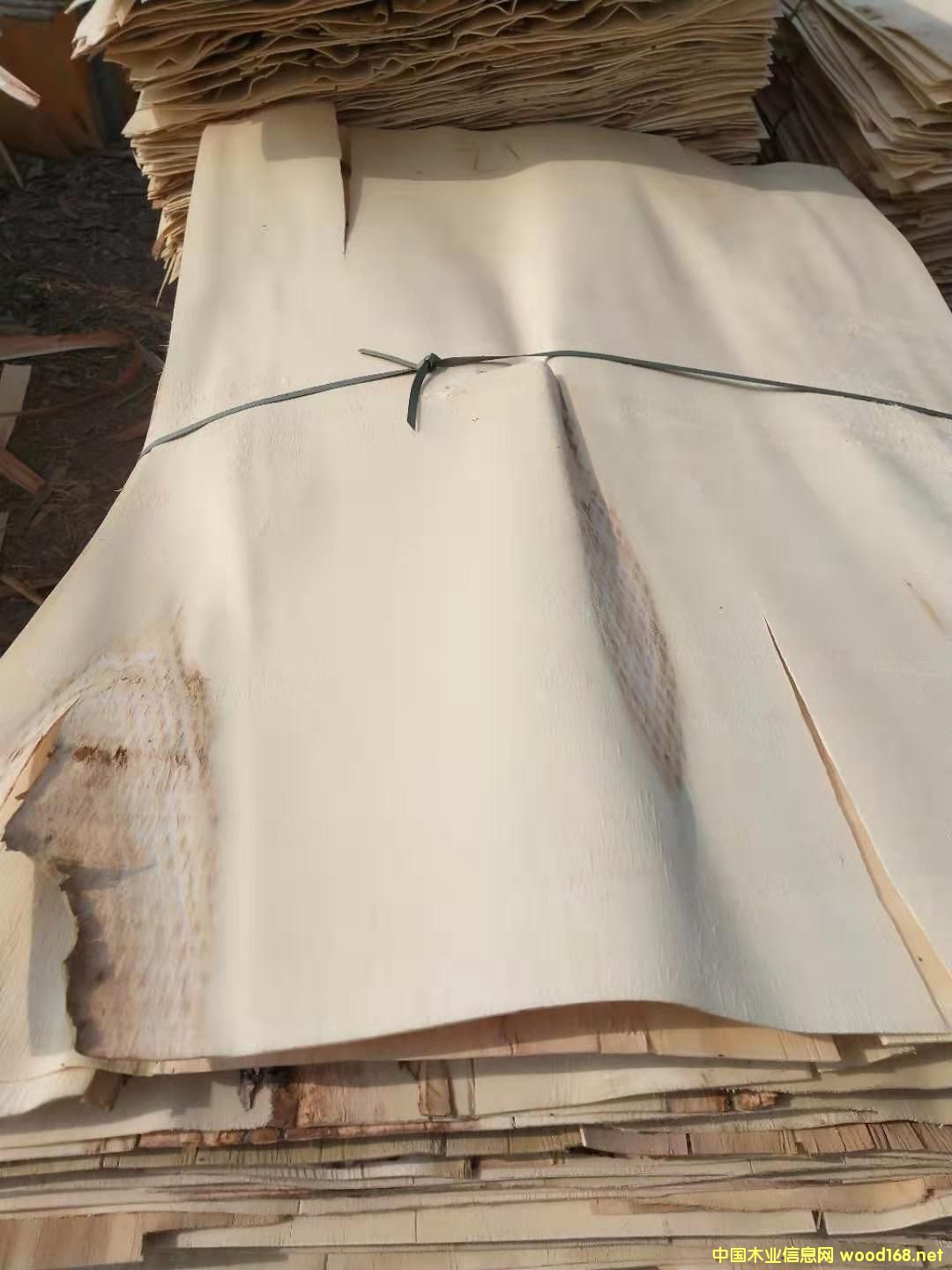 ��ľƤ��Ԕ����B