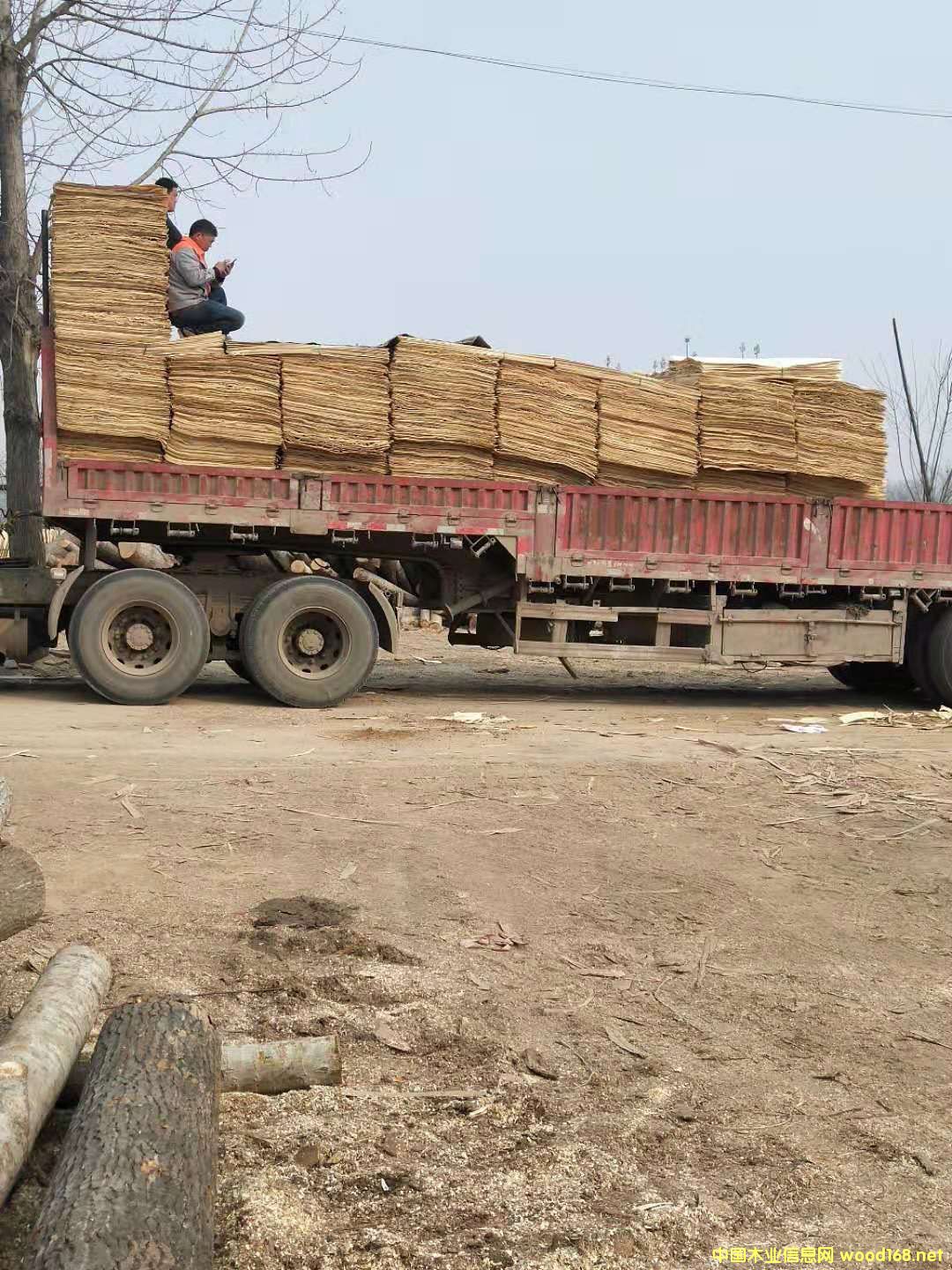 ��ľƤ��Ԕ����B