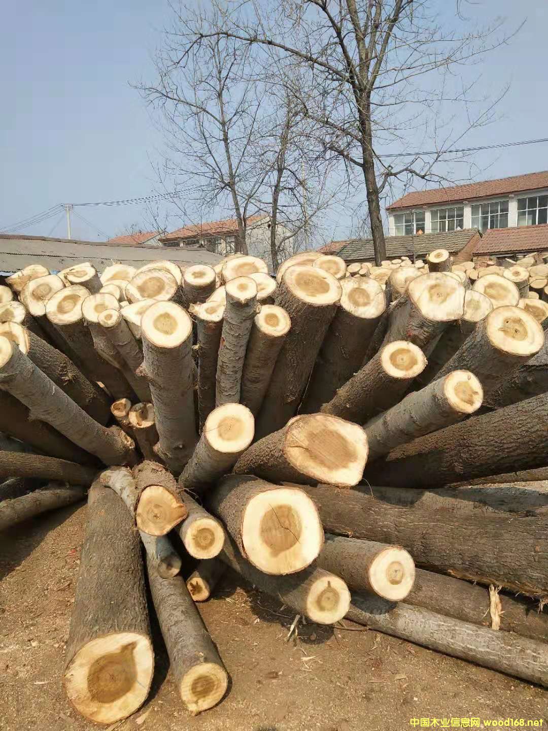 ��ľƤ��Ԕ����B