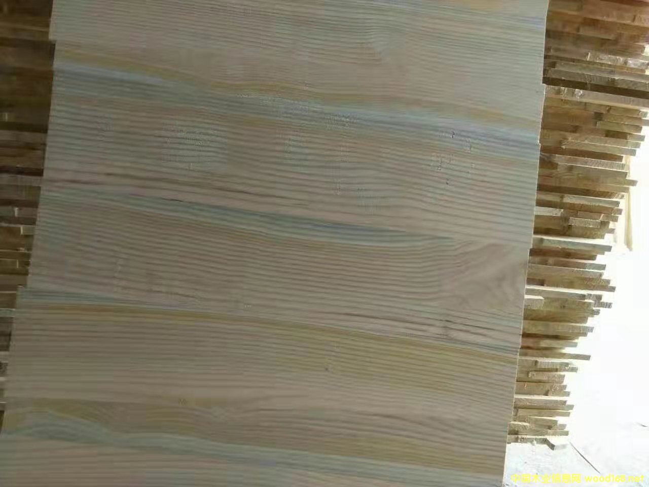 的詳細(xì)介紹