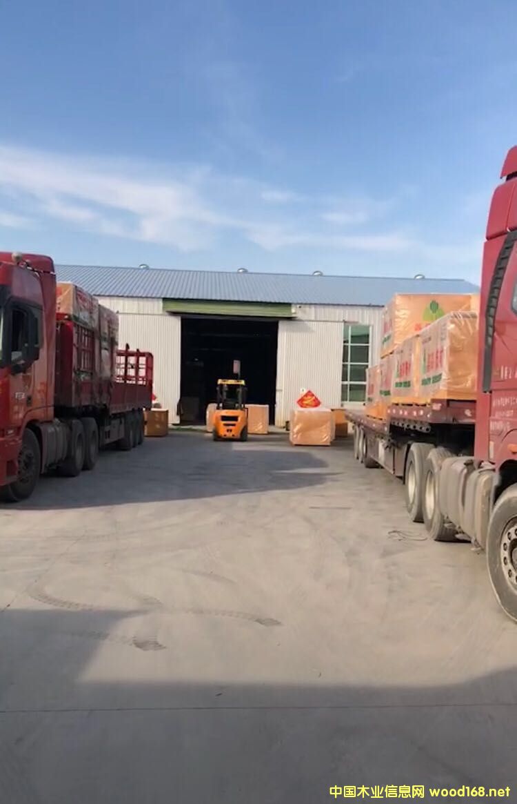 ʢ����ĵ�Ԕ��(x��)��B