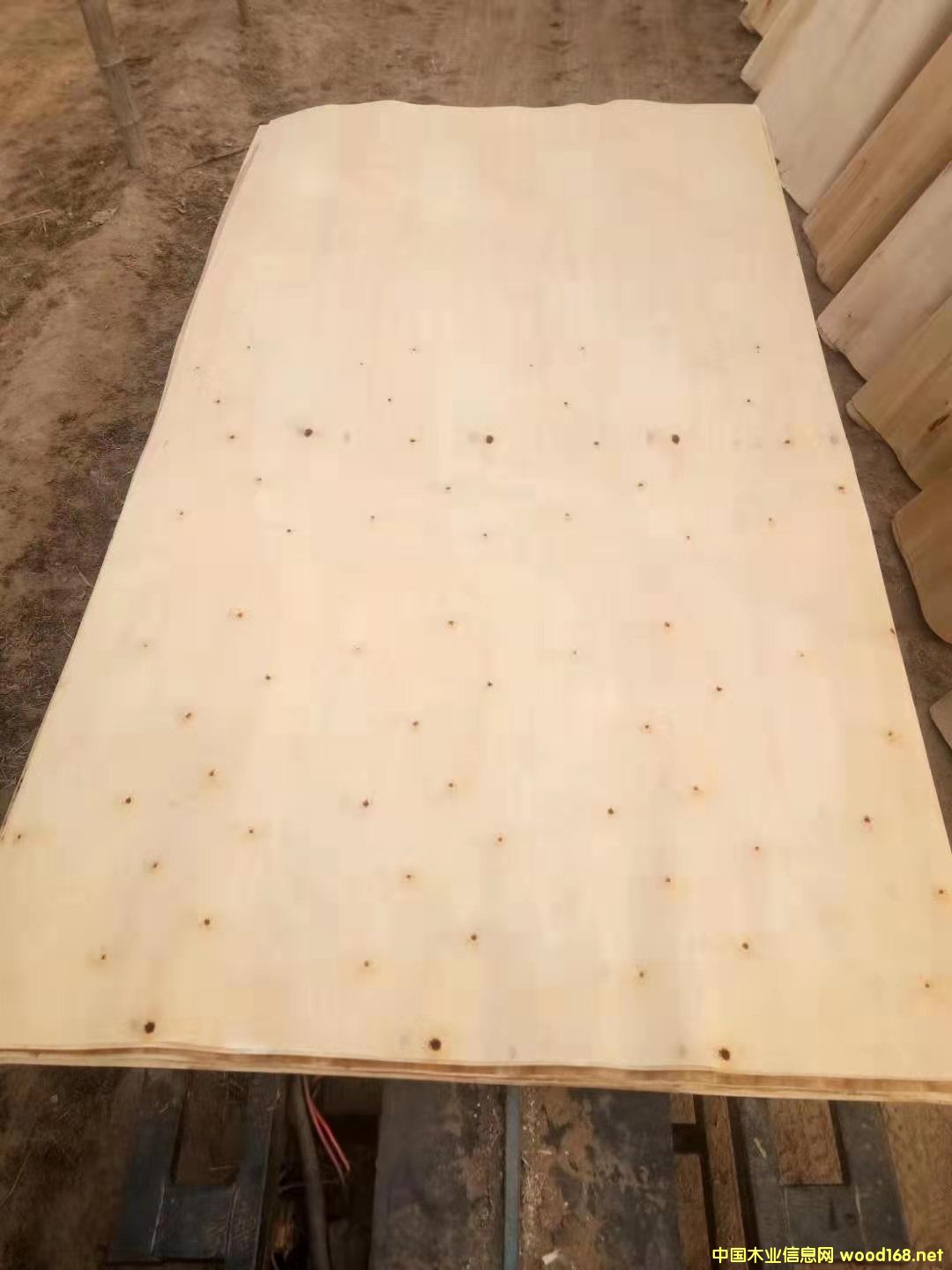 楊木面皮 楊木面皮