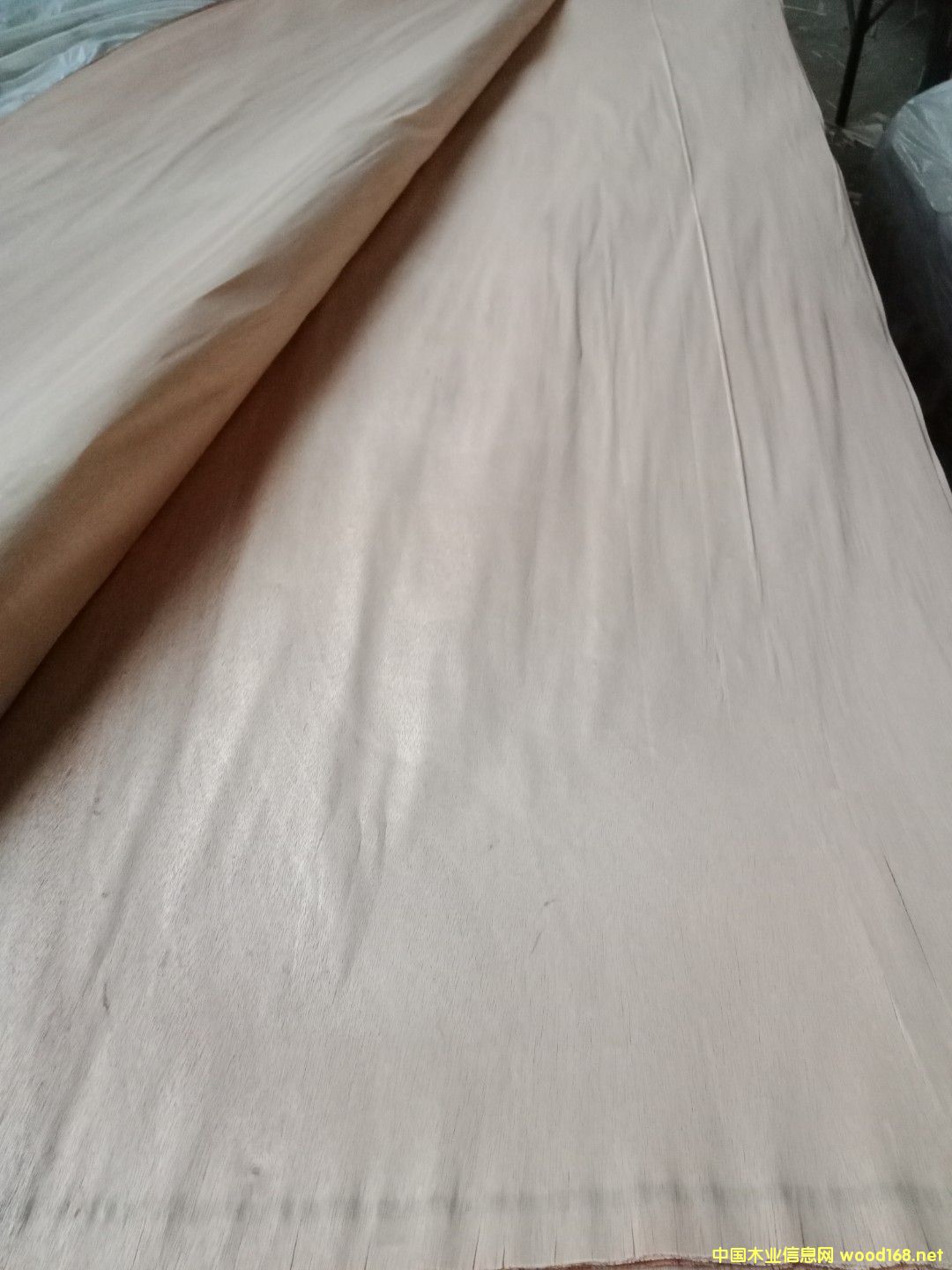 �sľ��Ƥ��Ԕ����B