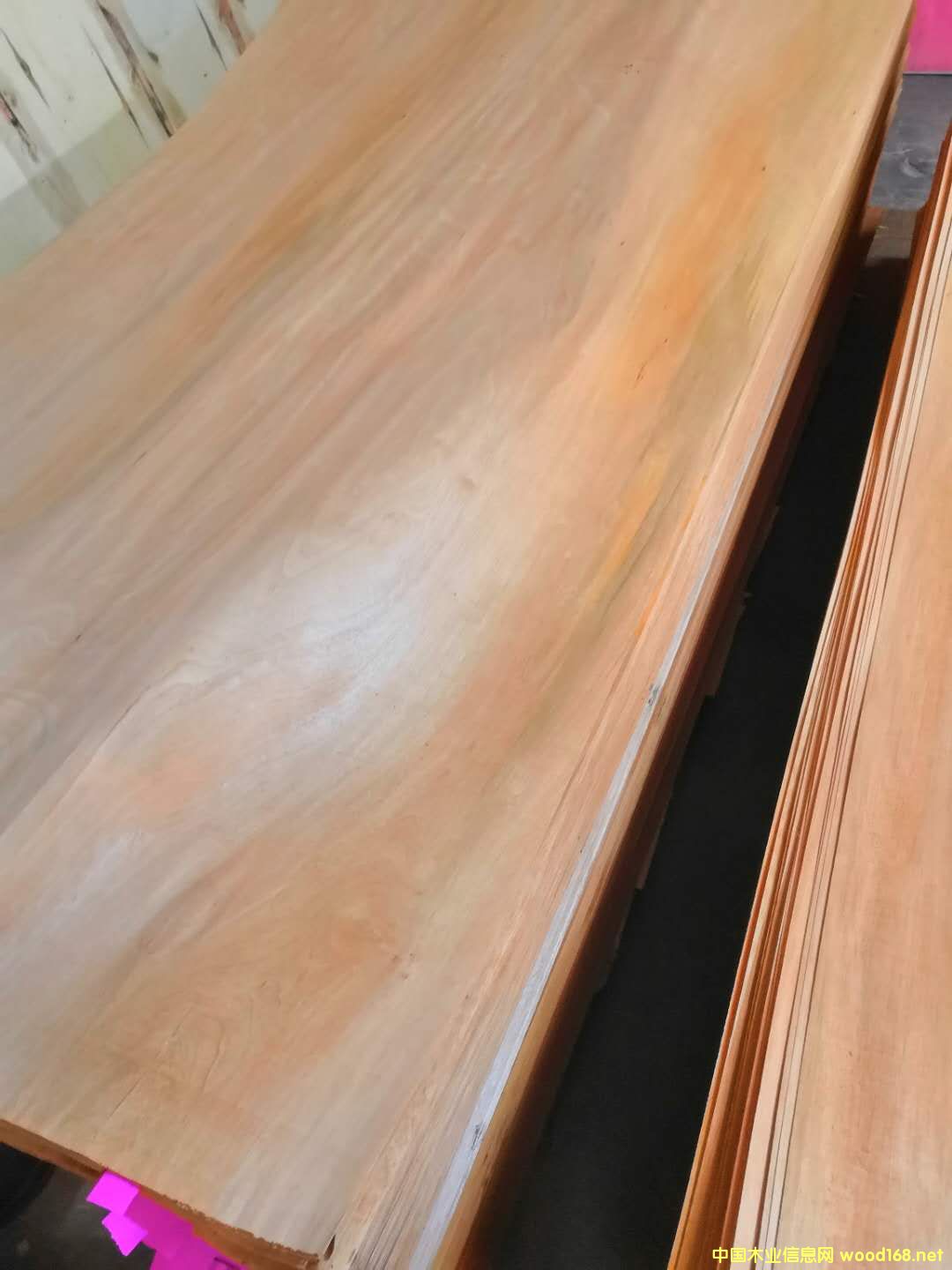 �sľ��Ƥ��Ԕ����B