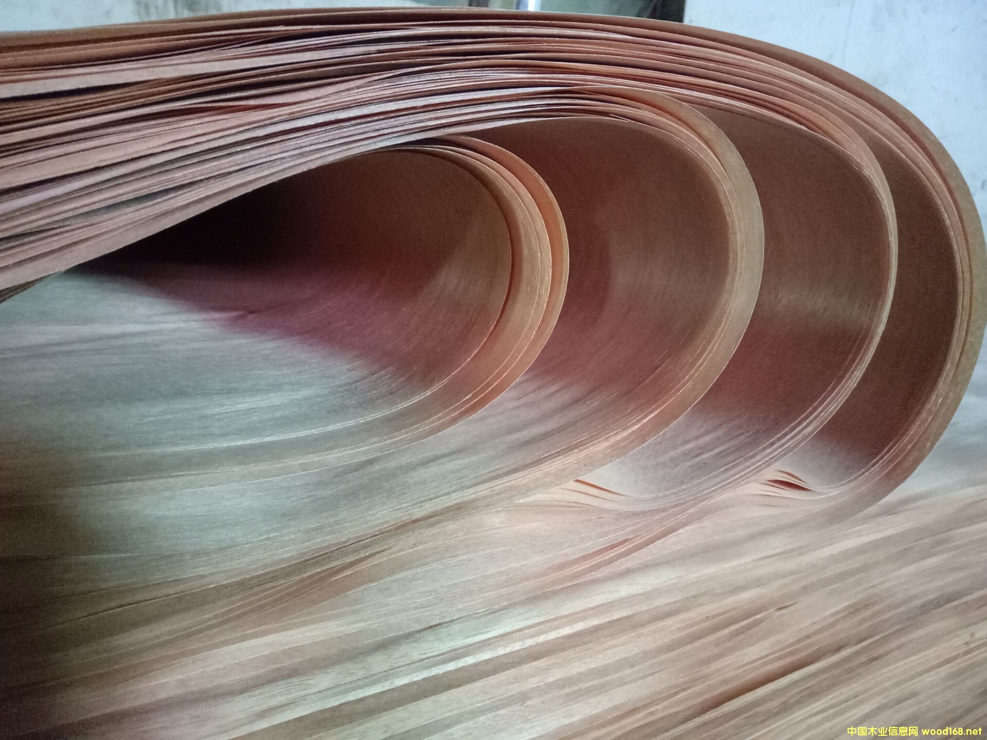 �һ�о��Ƥ��Ԕ����B