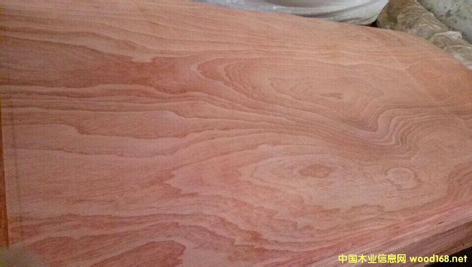 ɳ������Ƥ��Ԕ����B