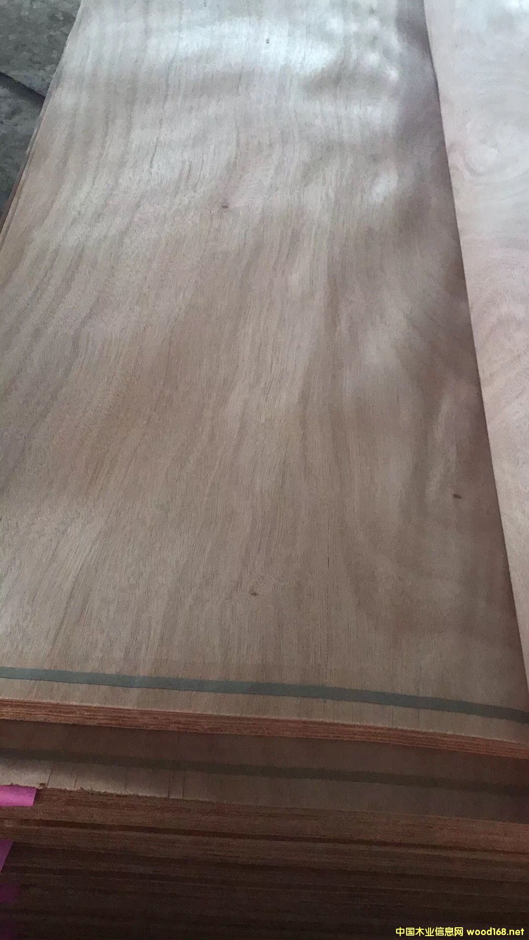 [��] �һ�о��Ƥ