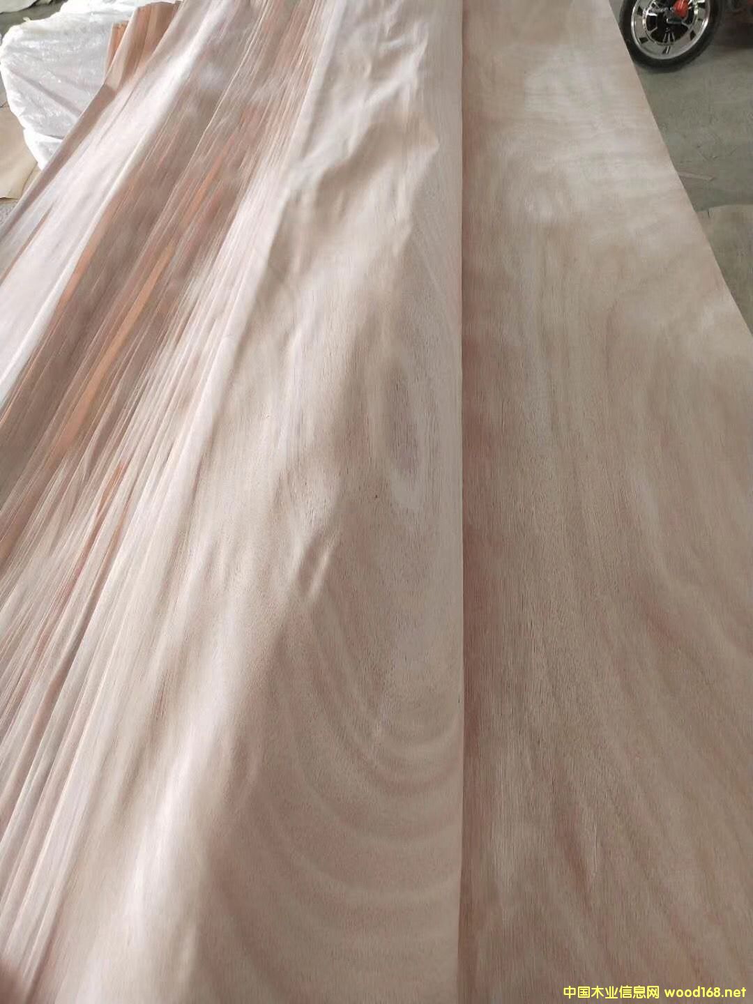 [��] �һ�о��Ƥ