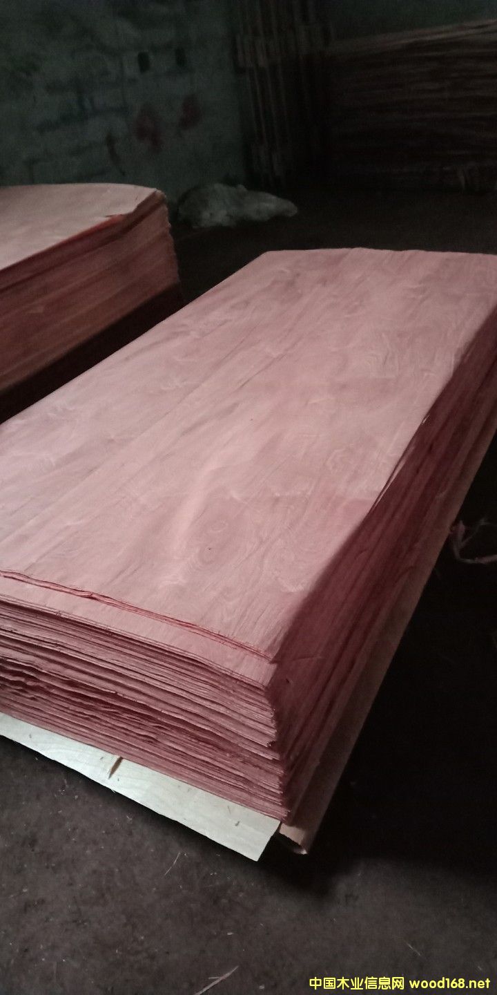 ɳ������Ƥ��Ԕ����B