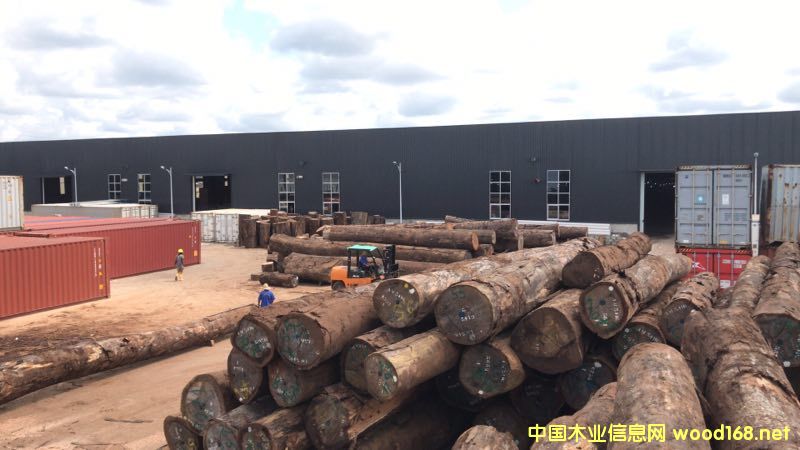 的詳細(xì)介紹