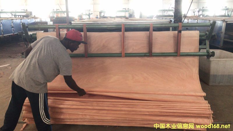 的詳細(xì)介紹