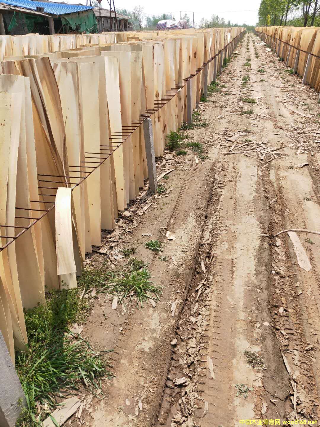 的詳細(xì)介紹