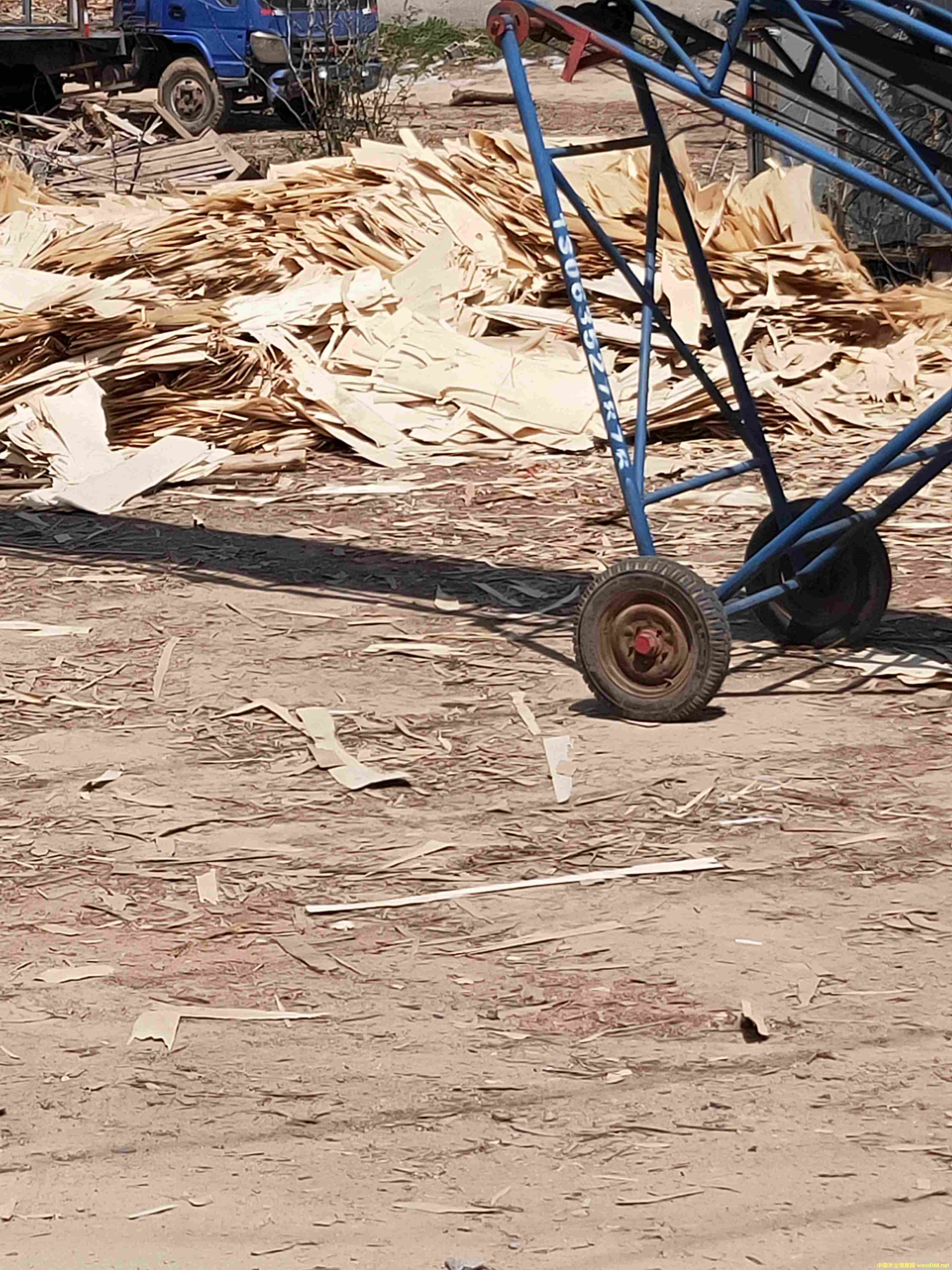 ��ľëƤ��Ԕ��(x��)��B