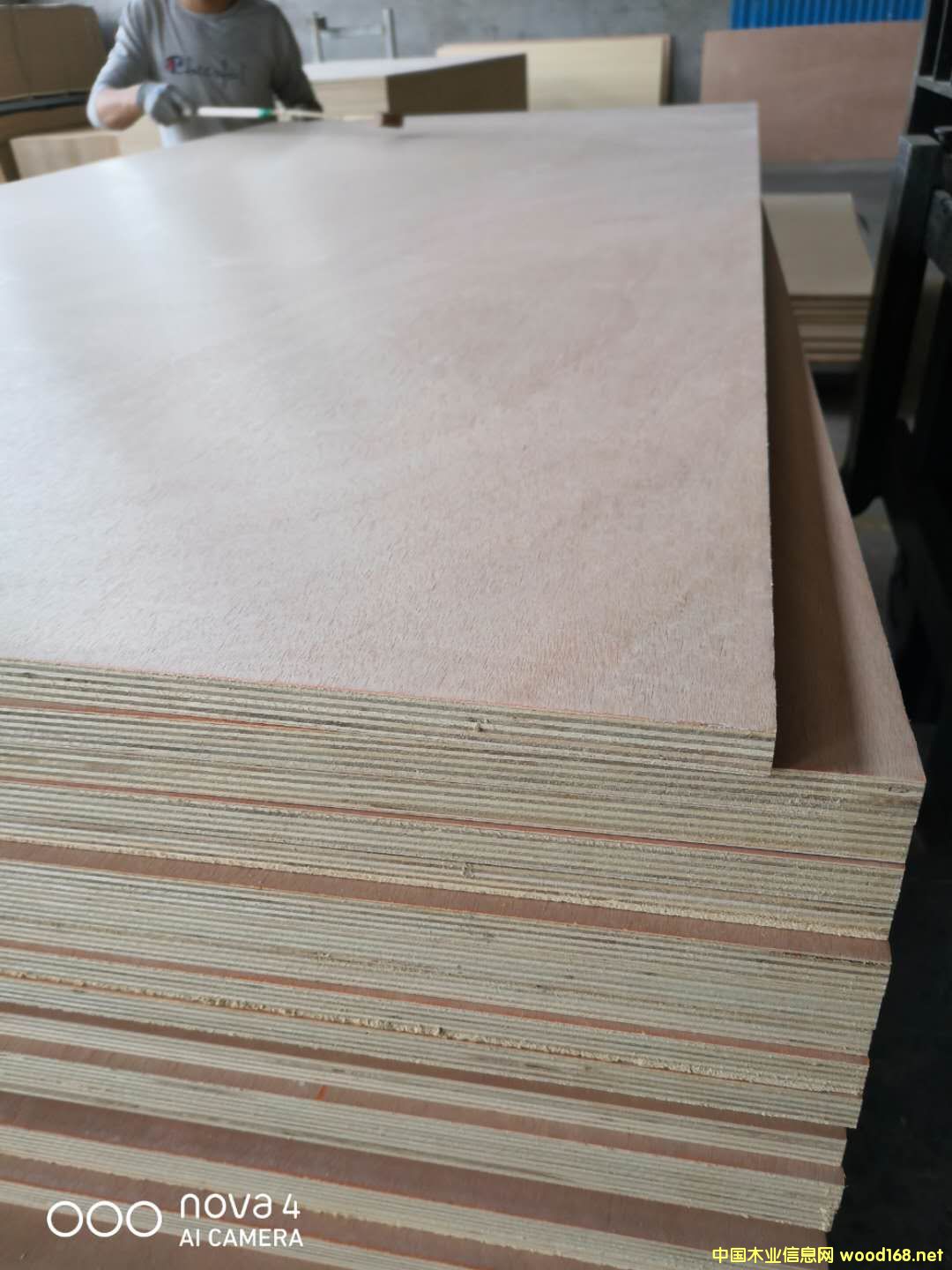  ��Ԕ��(x��)��B