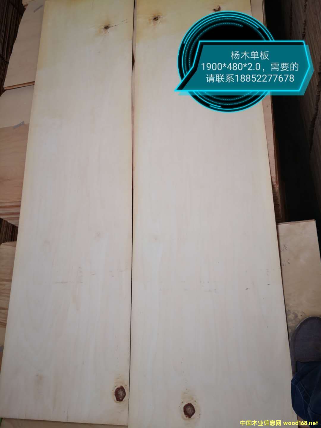 ��ľ�ΰ��Ԕ��(x��)��B