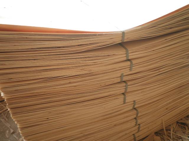 ��ľƤ�ӵ�Ԕ��(x��)��B