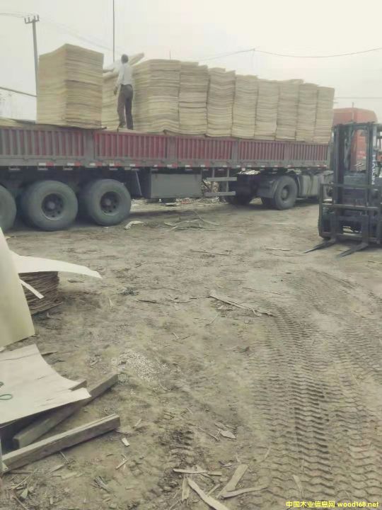  	 ��ľ�ΰ��Ԕ��(x��)��B