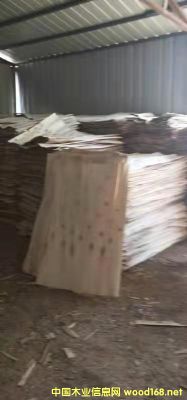 ��ľƤ�ӵ�Ԕ��(x��)��B