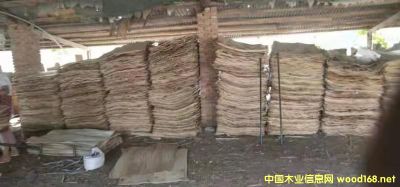 ��ľƤ�ӵ�Ԕ��(x��)��B