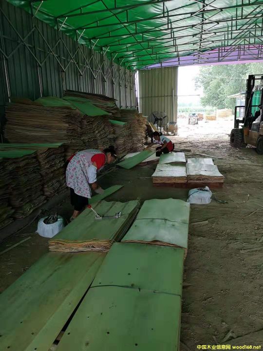 �A��Ƥ��Ԕ��(x��)��B