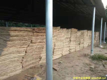 ��ͨ�A��Ƥ�](m��i)��ȼ��Ԕ��(x��)��B