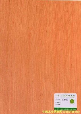 的詳細(xì)介紹