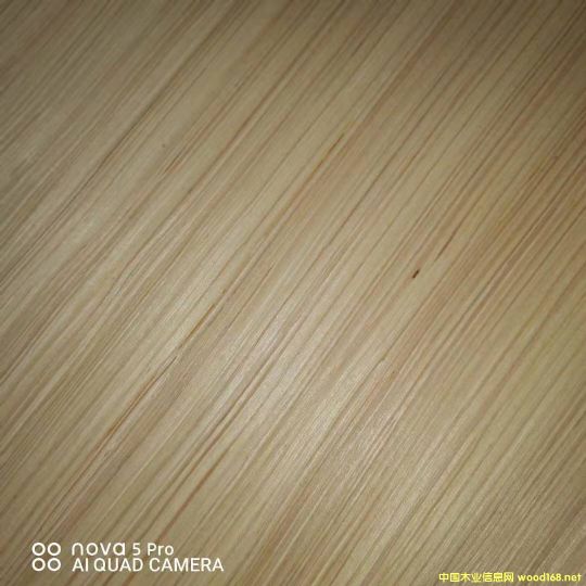  ��Ԕ��(x��)��B