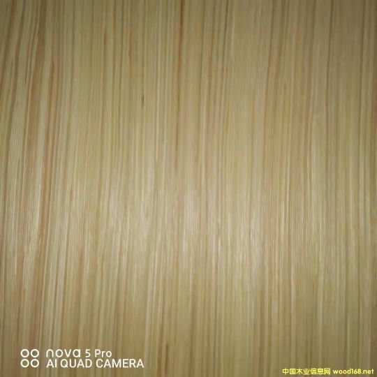  ��Ԕ��(x��)��B