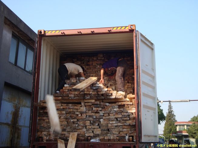 [��] ���������ľ������R����ľ����albizia falcata