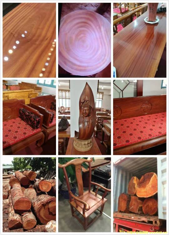 [��] ����(y��ng)�һ�оľ���һ��İ�ģ���mahogany,���~�һ����������һ���