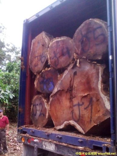 [��] ����(y��ng)�M(j��n)����˼ľACACIA����ľ����Ϛgľ������˼ľ