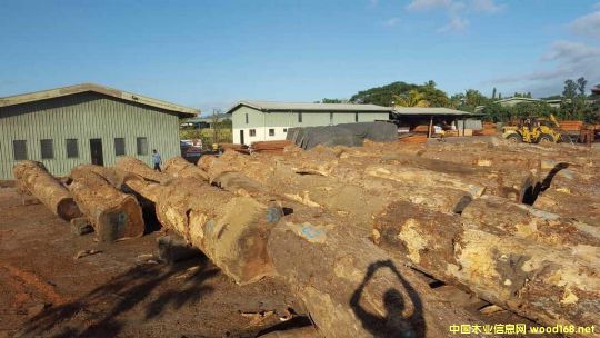 ����Ϛg�Aľ1