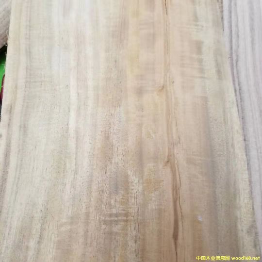 [��] �����M�ڴ��~��˼ľ��ACACIA����˼ľԭľ