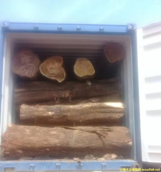 [��] �L�ڹ���(y��ng)���~��˼ľ�� ������ľ��ACACIA