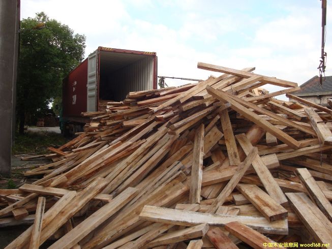 [��] ���������ľ������R����ľ����albizia falcata