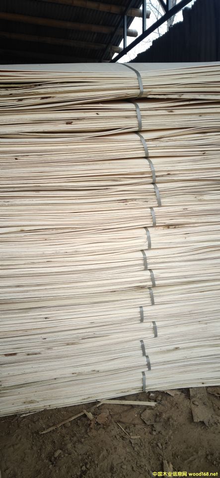  ��Ԕ����B