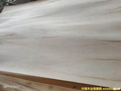 楊木皮子 楊木皮子