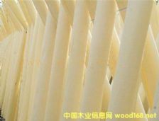 的詳細(xì)介紹